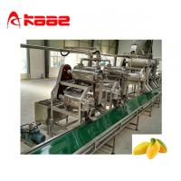 Quality Full Automatic Mango Juice Production Line Automatic Juicer Machine for sale