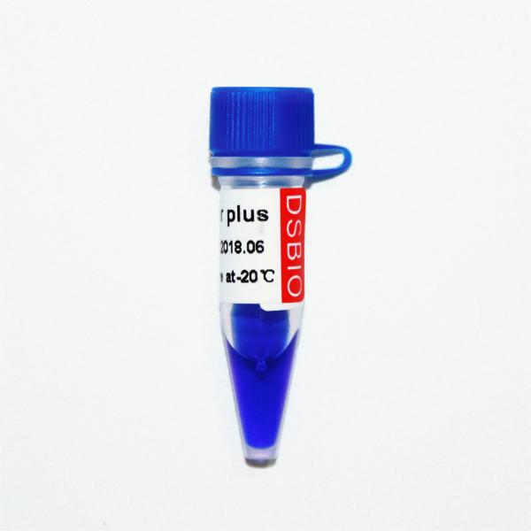 Quality Blue Appearance 50bp DNA Ladder Electrophoresis 50ug for sale