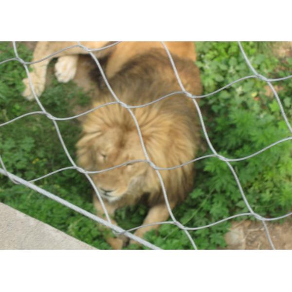 Quality AISI316L Soft Zoo Wire Mesh Net , Ferruled / Knotted Wire Mesh Fence For Animals for sale