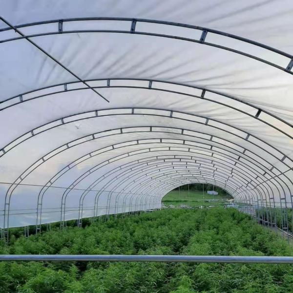 Quality Double Arches Double Film Agricultural Growing 10X50m Single Span Greenhouse for sale