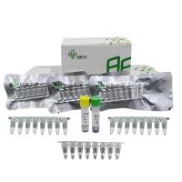Quality 48 Tests / Box Isothermal DNA Amplification Kit With Reagents Buffers Enzymes for sale