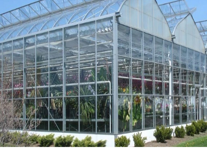 China Clear Agricultural Greenhouse ,  PE PC Plastic Film Greenhouse Customized Length factory