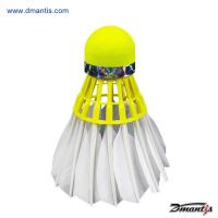 China Fluorescent Yellow D51 3in1 12PCS in Pack Stable and Sturdy High Speed for Training Goose Feather Badmi factory