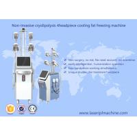 China Cryolipolysis Fat Freezing loss Slimming Machine Vacuum Cavitation Rf Machine factory