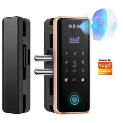 Quality Office Tuya App Door Lock Wireless Biometric High Security Password Glass Door for sale