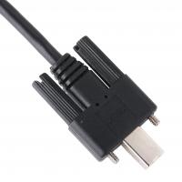 China Locking Connector USB 2.0 Type A To Type B Cable For Printers / Camera / Scanners factory