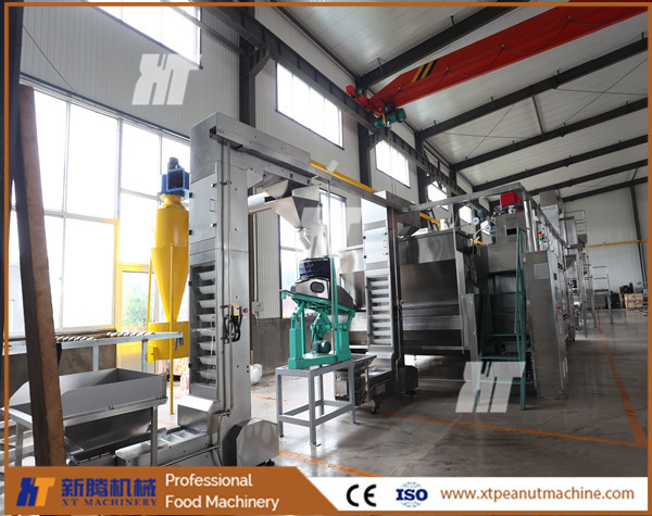 Quality LPG Gas Z Bucket Elevator Lifter Conveyor Paternoster For Peanut Processing for sale