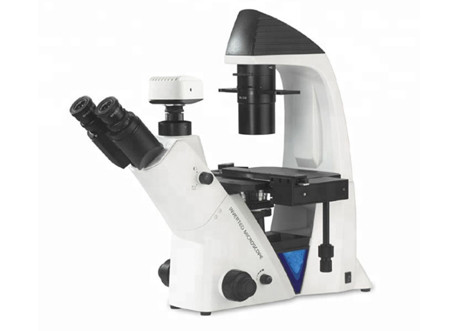 Quality Biological 40X Inverted Optical Microscope WF10X/22mm Trinocular for sale