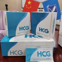 China Rapid Test 5 Minutes Do A Pregnancy Test Online Disposable Home One Step HCG Pregnancy Test Kits factory