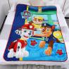 China Anti Pilling Fleece Cartoon Throw Blankets Non Allergenic For All Seasons factory