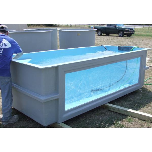 Quality Half Transparent FRP Hand Lay Up Fiberglass Fish Tank For Aquarium Exhibition for sale
