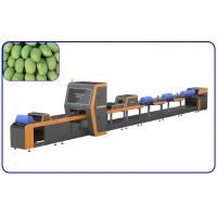 Quality Computer Control Mango Sorting Machine 18.65KW 4 Channel Intelligent for sale