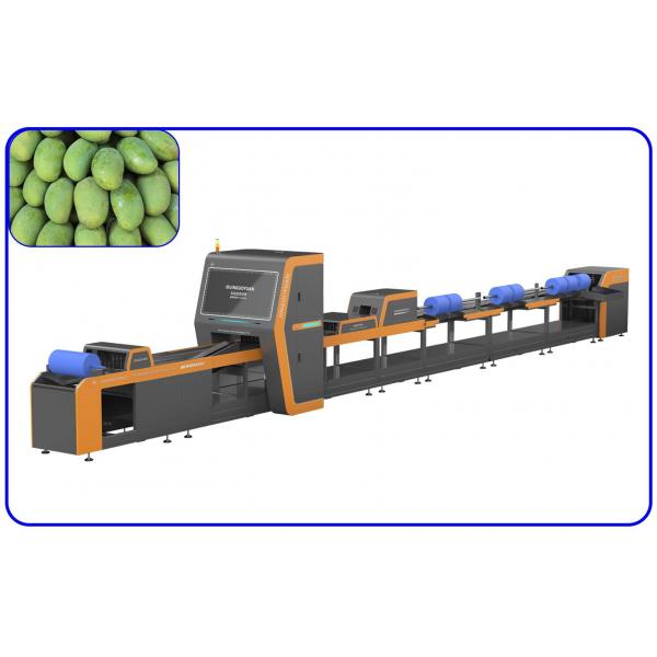 Quality Computer Control Mango Sorting Machine 18.65KW 4 Channel Intelligent for sale