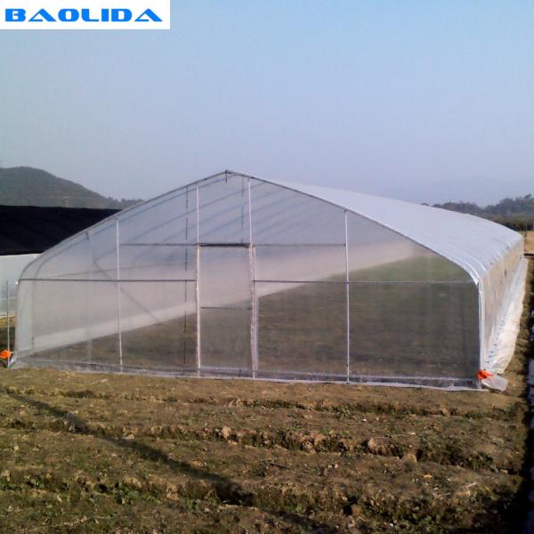 Quality Farm Tunnel Polyethylene Film Greenhouse / Clear Plastic Greenhouse For Various Vegetables for sale