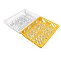 Quality Live Poultry Carrier Crate Broiler Plastic Cage 7-10 Chicken Capacity for sale