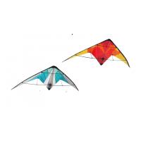china Oem 170*70cm Dual Line Sports Delta Stunt Kite with Woven Roving Material
