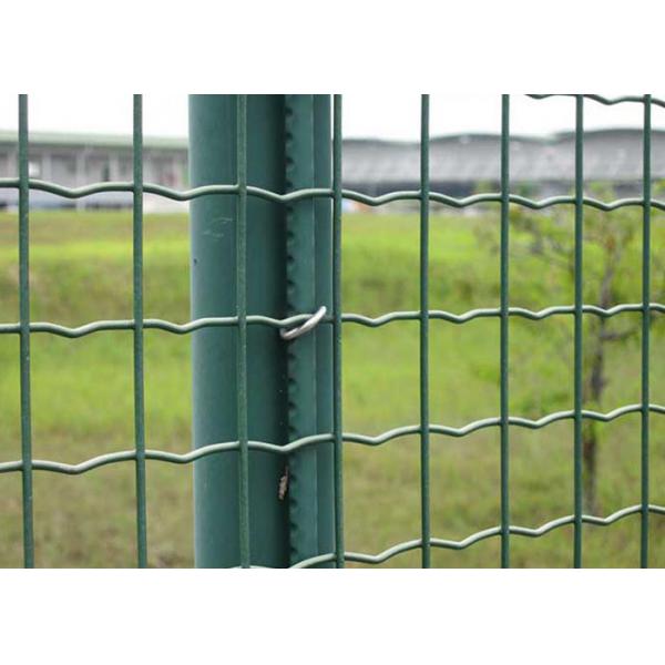 Quality 50×50mm Euro Style Fence Metal Wire Fence Electro Galvanized Surface for sale