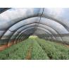 China Agriculture Frame Mesh Harvest Bags / Mesh Vegetable Storage Bags factory
