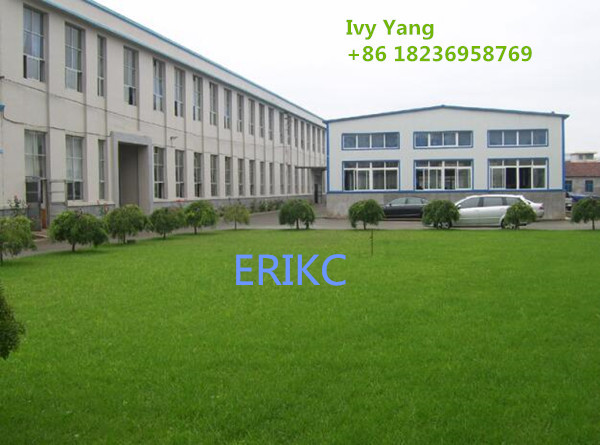 China ERIKC Commonn Rail Diesel Injector & Spare Parts manufacturer