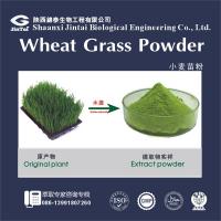 China 100% watersoluble wheatgrass wheat grass juice powder for sale