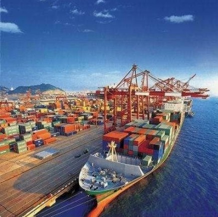 Quality DDP DDU CLC PLC China Sea Freight Services To Oman 30-45 Days for sale