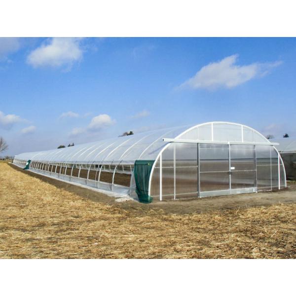 Quality Roof Ventilation Single Tunnel Greenhouse Flower Farm Greenhouse 10*30m for sale