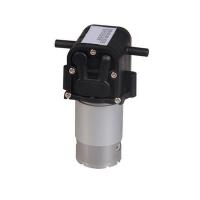 china Miniature Diaphragm Pump DC 12V 24V 36V Water Pump Water Purifier FDA Food Grade Pump 2L/min mini water dispenser pump