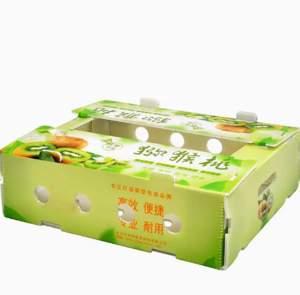 Quality PP Plastic	Fruit Packaging Boxes Hollow Plate Turnover Box Anti Static for sale