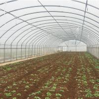 China Film Cover Single-Span Agricultural Greenhouses for Agricultural Cultivation factory