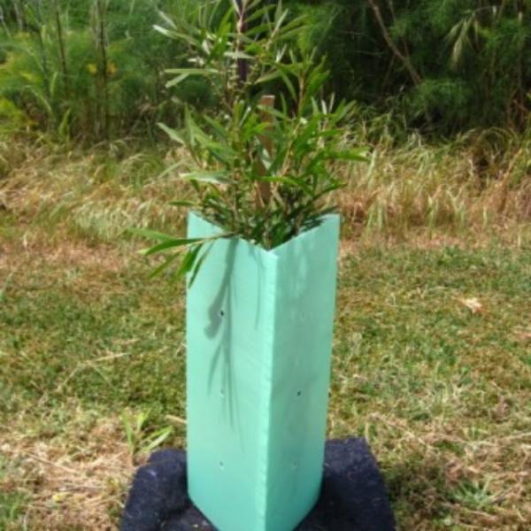 Quality Corflute Corrugated Plastic Tree Wrap 2mm Hard Plastic Tree Guards for sale