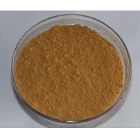 China GMP Supplier 1%-2% DNJ powder from white mulberry leaf extract factory