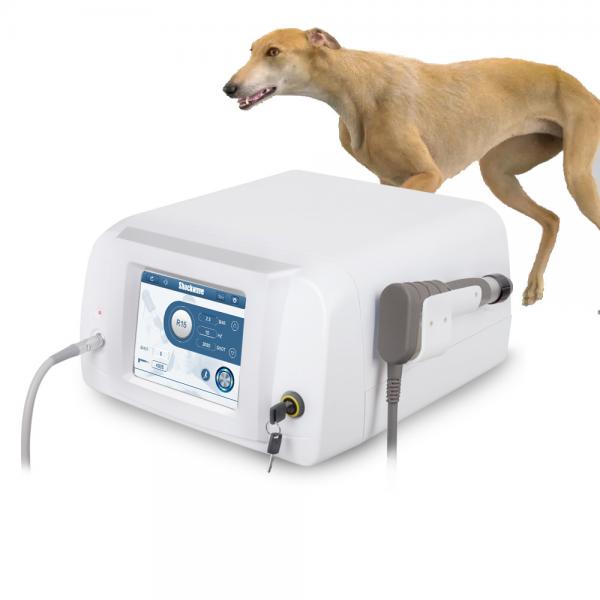 Quality Portable Air Pneumatic Equine Shockwave Therapy Machine Shock Wave For Horse for sale