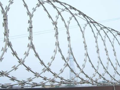 High quality hot dipped galvanized diamond razor barbed wire mesh anti climb welded concertina blade razor wire fence