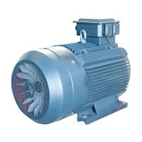 Quality Low Voltage Induction Motor for sale