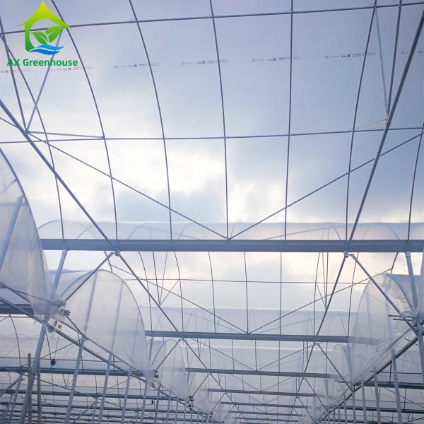 Quality 70%-75% Refractive Polythene Greenhouse Cover Thermal Insulation Film for sale