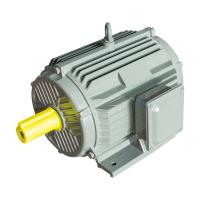 China IP55 High Efficiency Electric Motor Rigidity Ye5 Ie5 Electric Induction Motor factory