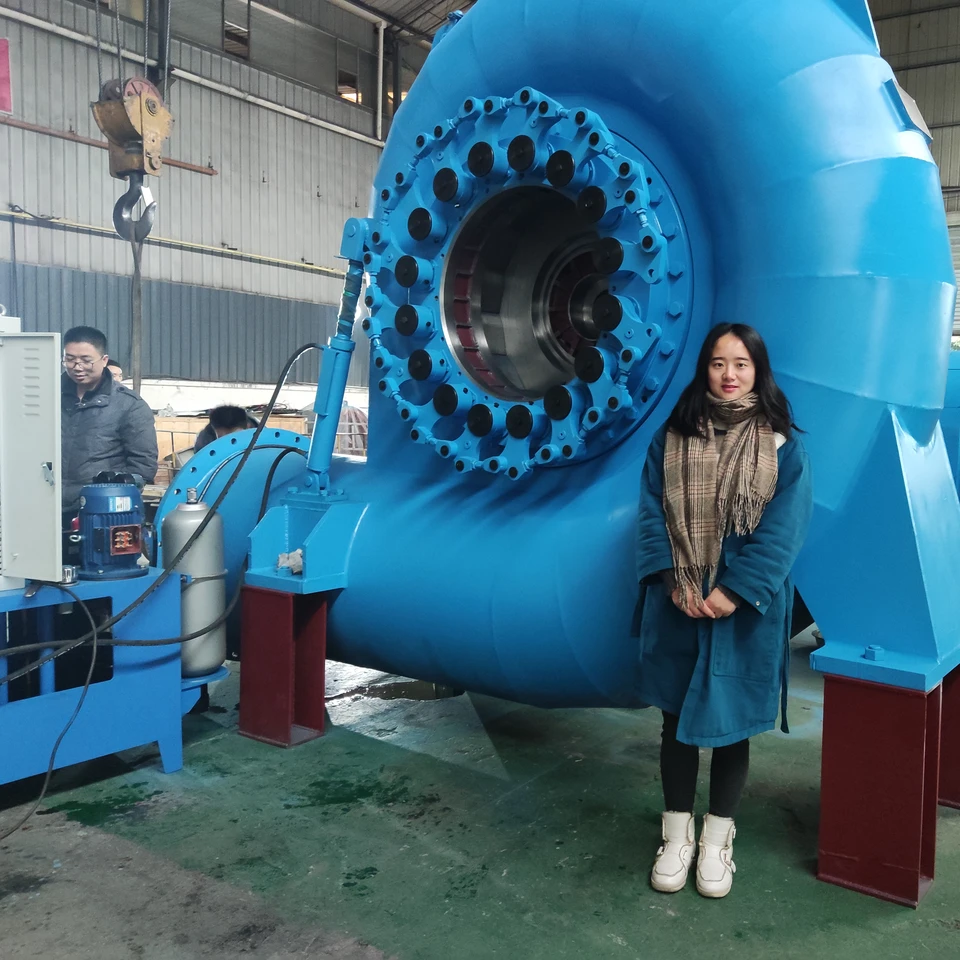Quality Reliable Water Turbine Generator For Various Speeds And Frequencies for sale