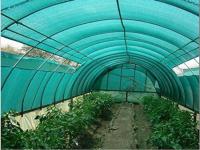 China Dark Green Fruit And Seedbed Sun Shade Net High Tensile Strength Shading Rate 70% factory