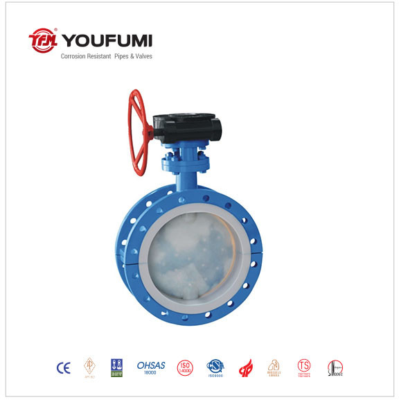 Quality Worn gear powered PTFE Lined Butterfly Valve DN50 Water Media for sale