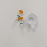 Quality RNA DNA Purification Extraction Kit Sterile Urine Preservative Tubes Medical PET for sale