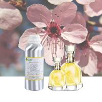 China Spray Making Perfume Fragrance Oil Designer Perfume Oil Floral Perfume Oil factory