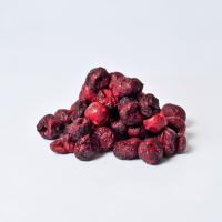 China BEST SELLING VACUUM FREEZE DRY SOUR CHERRIES - DRIED FRUIT SNACKS FROM SOUTH AMERICA factory