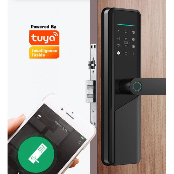 Quality Wifi Biometric Tuya Smart Door Lock Silver Mechanical Keyless Door Lock for sale
