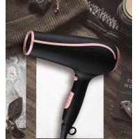 China Sleek Design Ionic Hair Dryer Ionic Hair Styler With Multiple Attachments factory