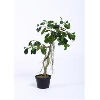 China Tabletop Plastic Bonsai Tree , Bonsai Plastic Tree Moisture Resistant Art Representation for sale