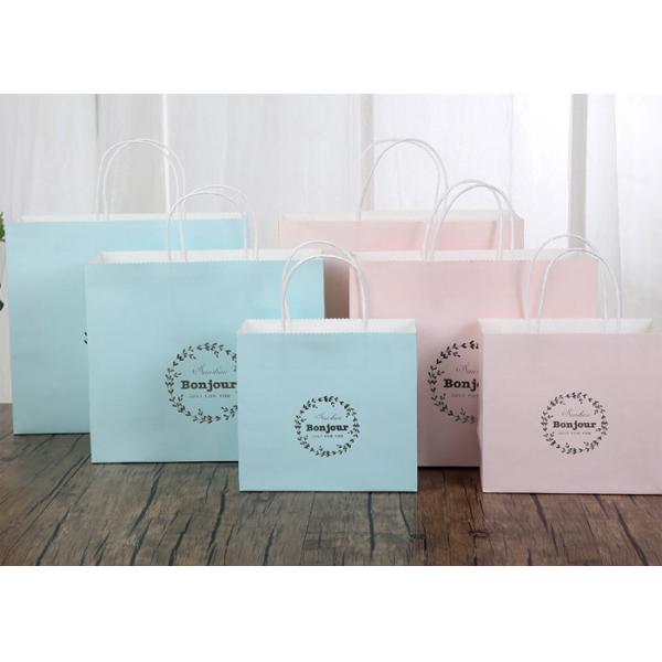 Quality Delicate Printed Kraft Paper Bags / Printed Paper Carrier Bags Any Color Available for sale