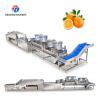China Fruit And Vegetable Wool Roller Bubble Cleaning Machine 1500KG/H factory
