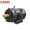 China Black Vfd Electric Motor , Three Phase Ac Motor High Overload Capacity factory