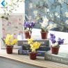 China Mini Artificial Iris Flowers Bonsai Type 15cm Height 5-10 Years Life Time factory