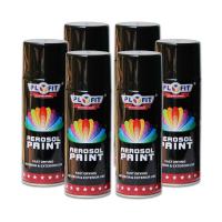 China Good Adhesiveness Aerosol Spray Paint 300ML Liquid Coating 5 Minutes Surface Dry Time factory